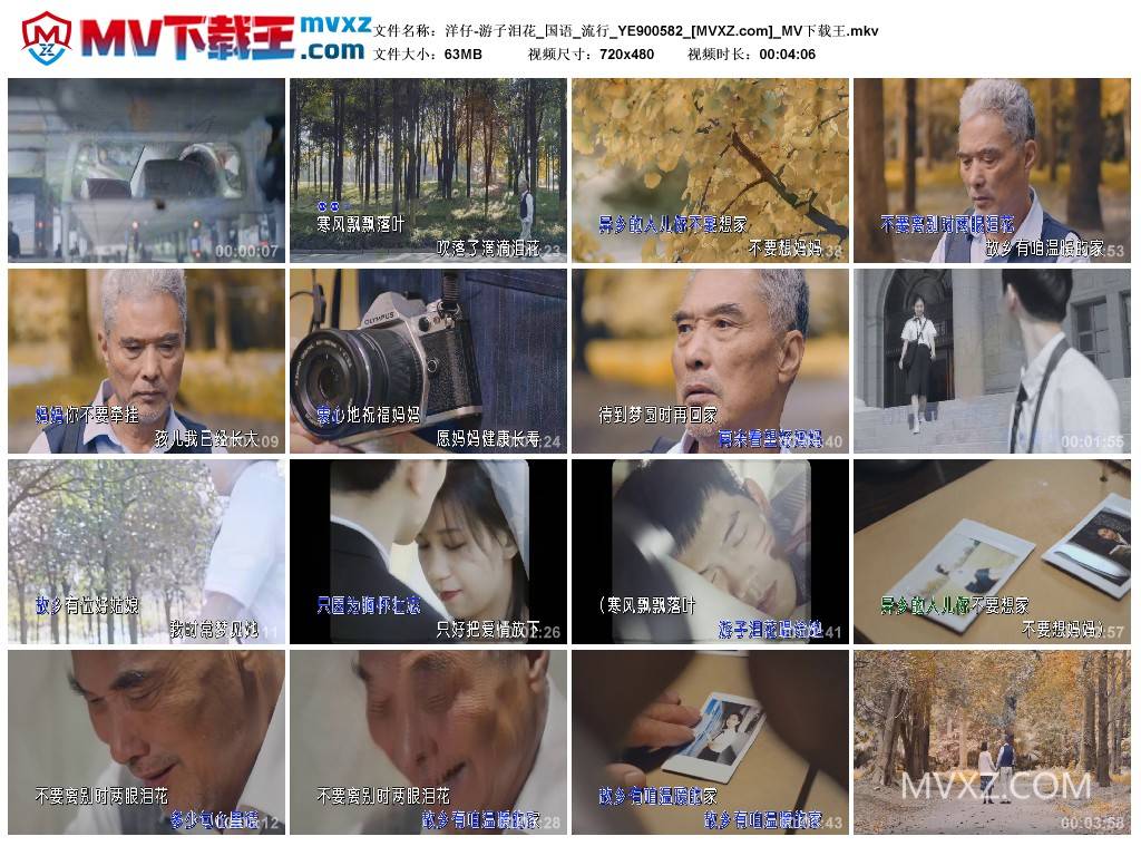 洋仔-游子泪花_国语_流行_YE900582